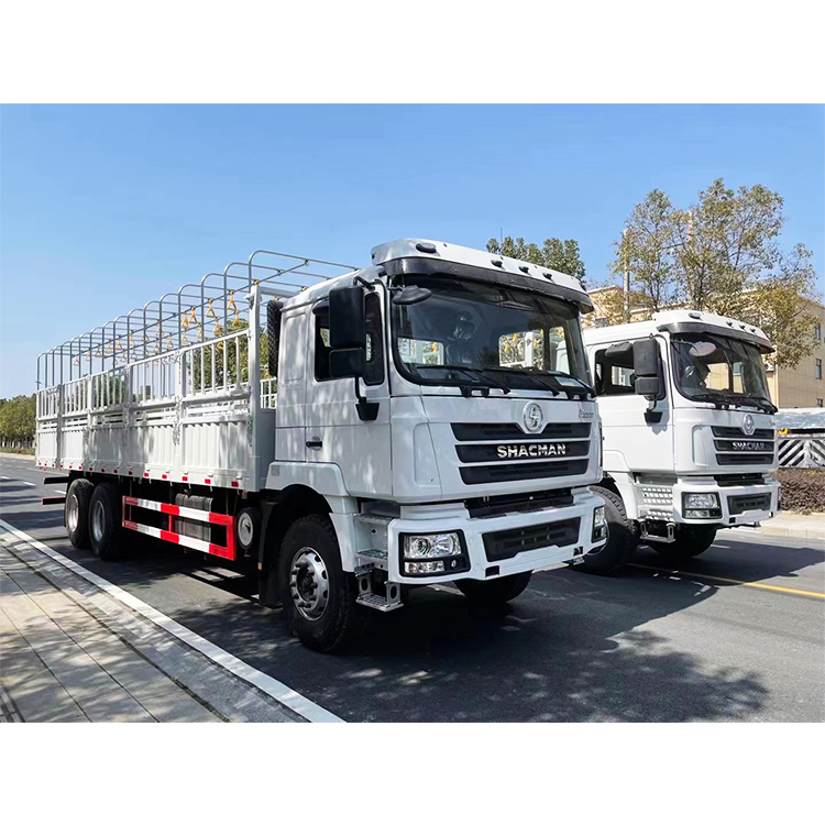 SHACMAN F3000 6x4 cargo truck